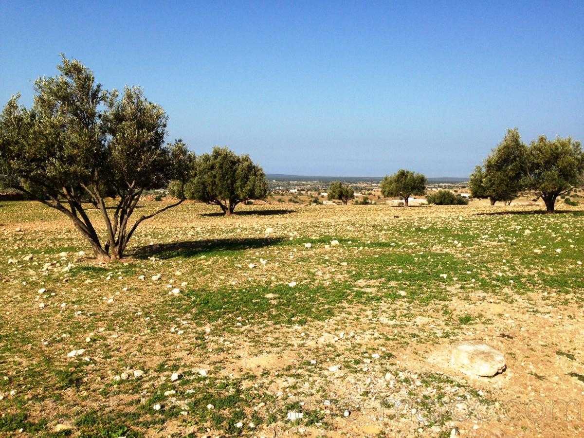 Ground for Sale in Essaouira