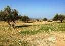 Ground for Sale in Essaouira