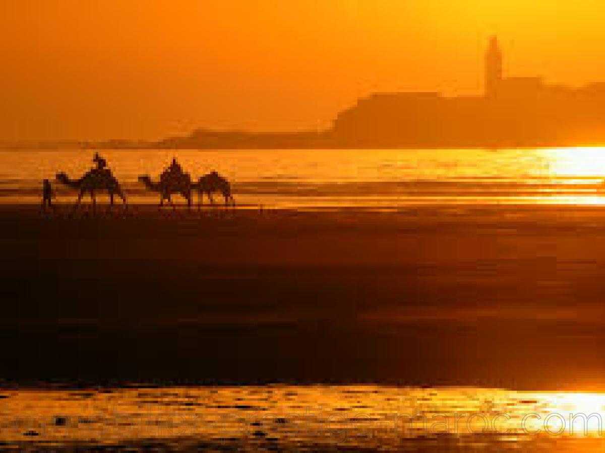 Ground for Sale in Essaouira