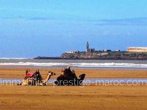 HÖTEL vue mer proche de la Medina d'Essaouira