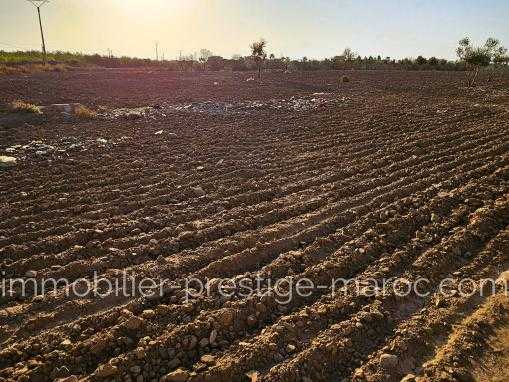 Superbe terrain de 4h a 20mn du centre de Marrakech