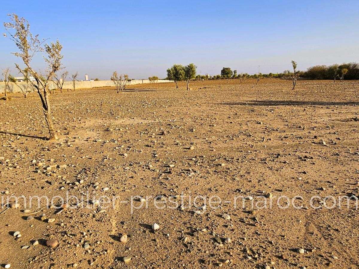 Ground for Sale in Marrakech