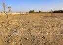 Ground for Sale in Marrakech